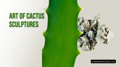 Art of Cactus Sculptures